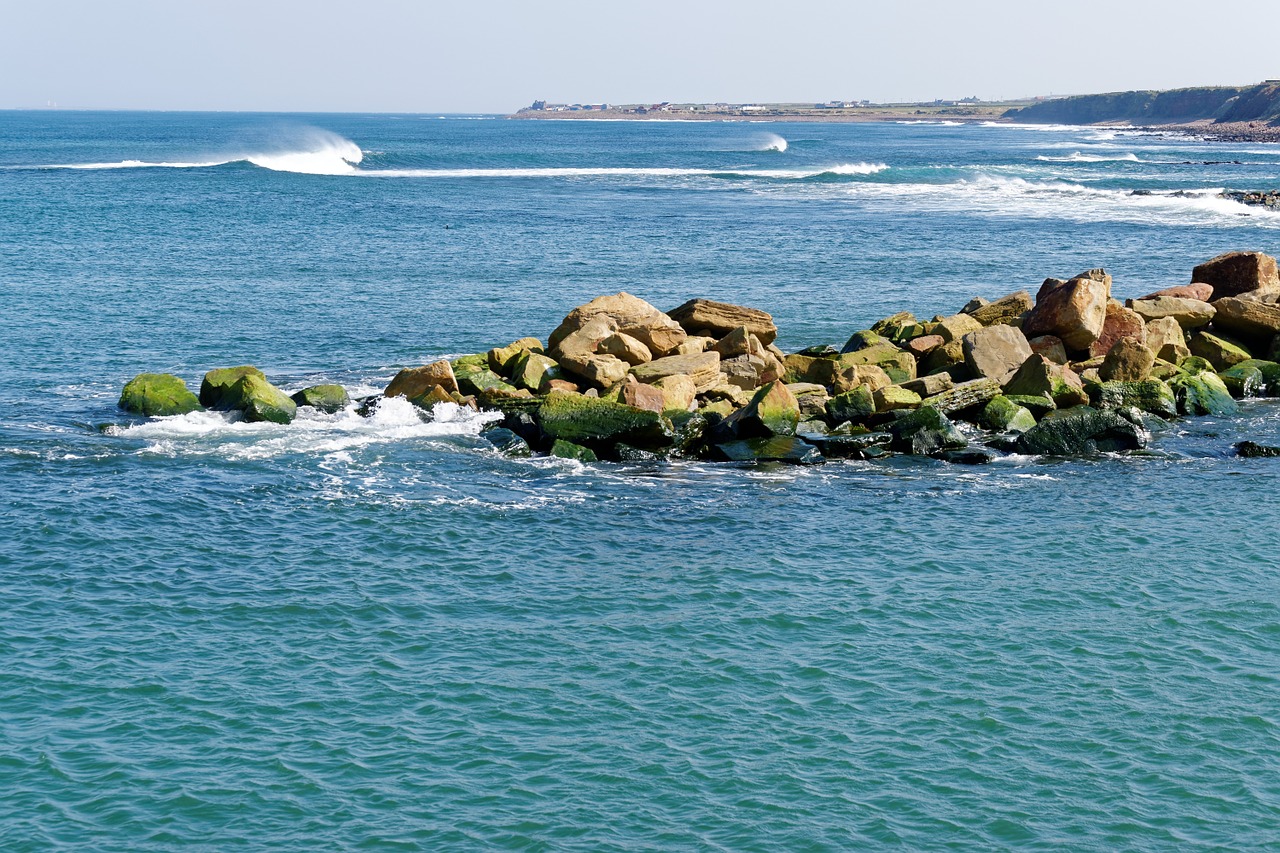 sea rocks waves free photo