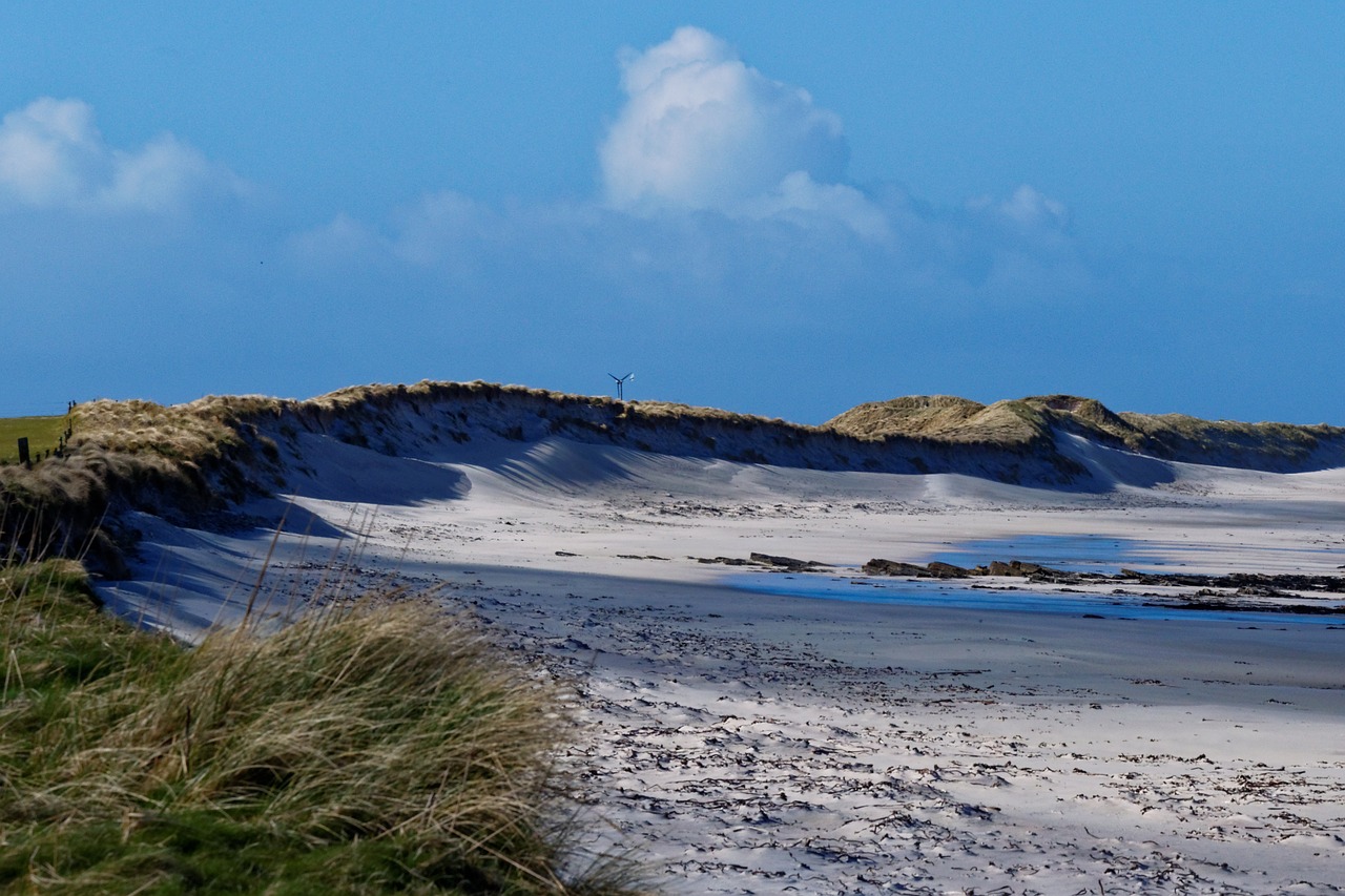 sea sand dunes free photo