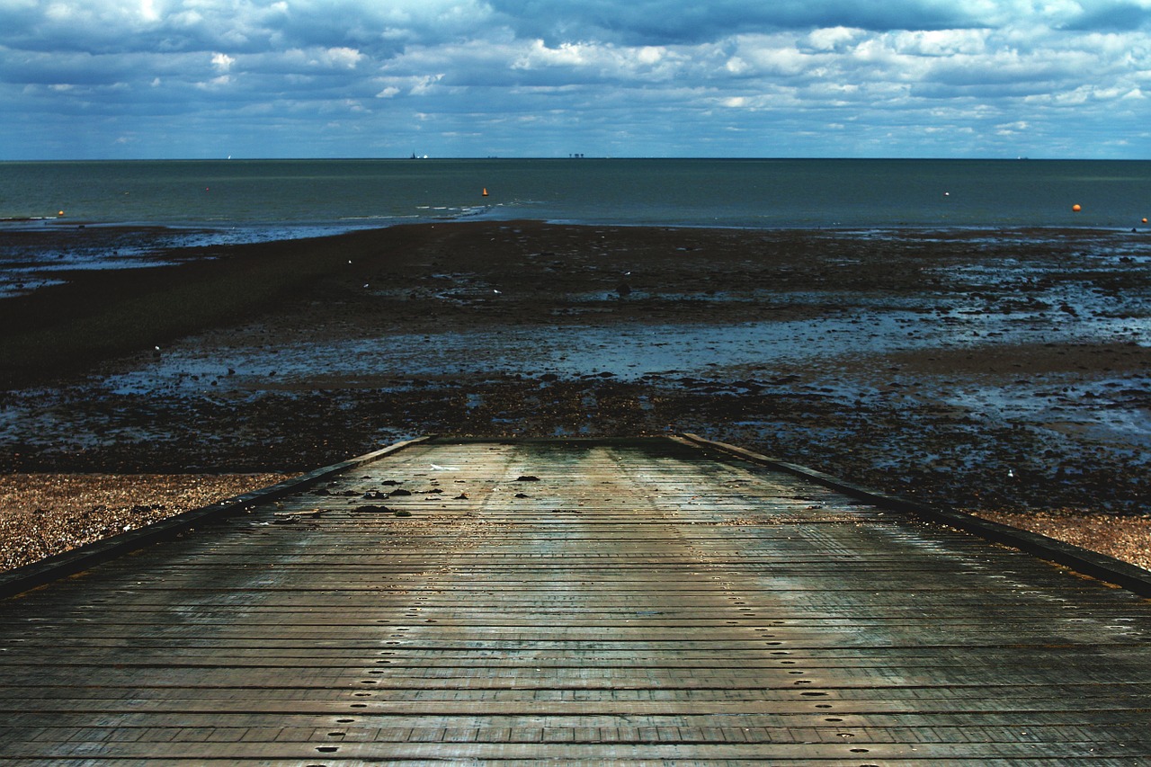 sea beach ocean free photo