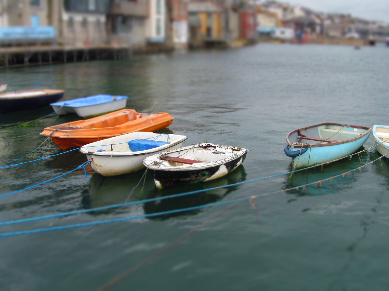 sea harbour sailing free photo