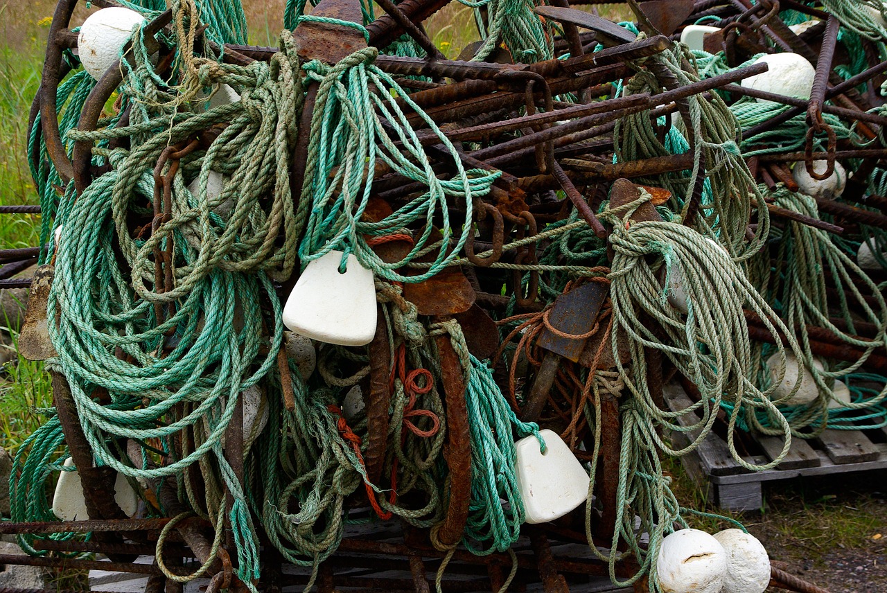 sea fishing ropes free photo