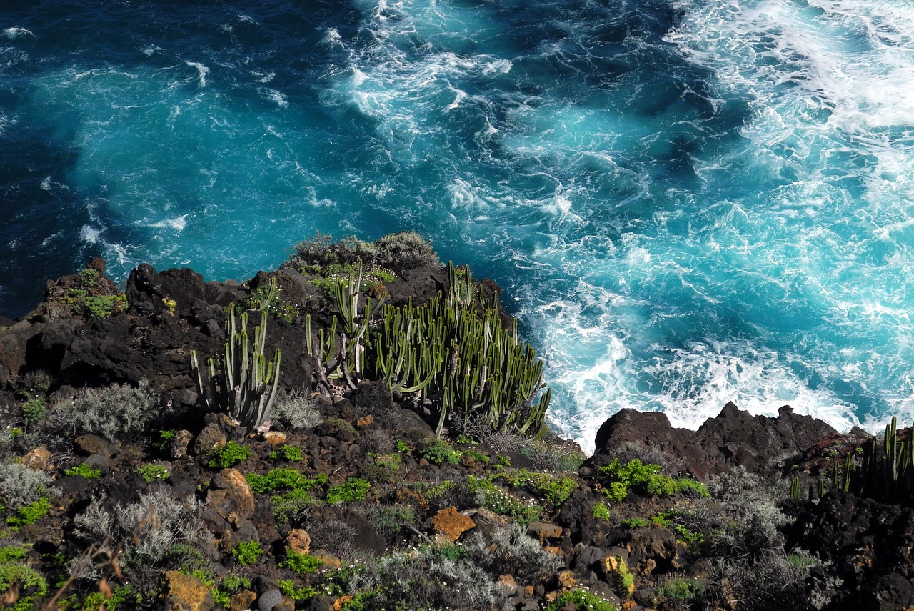 sea rock waves free photo