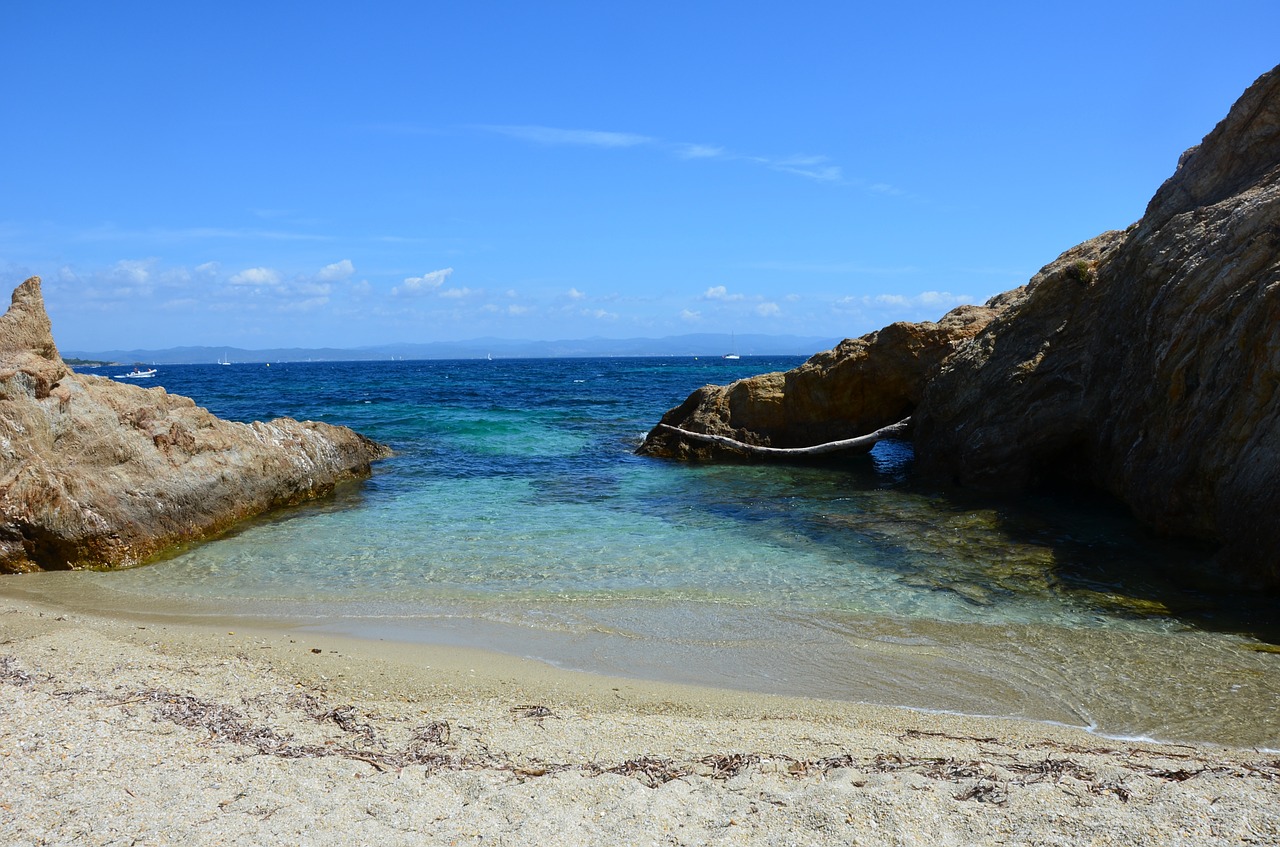 sea beach water free photo