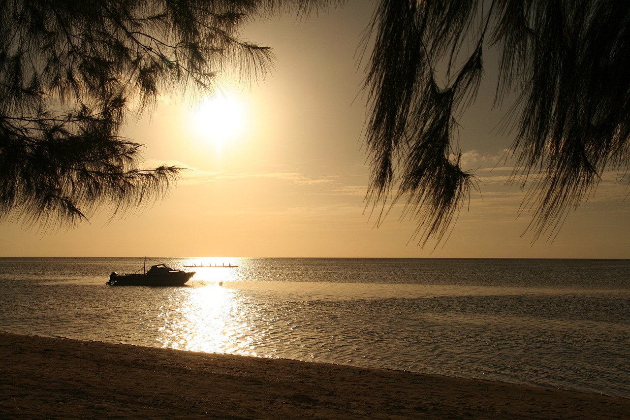 sea beach sunset free photo