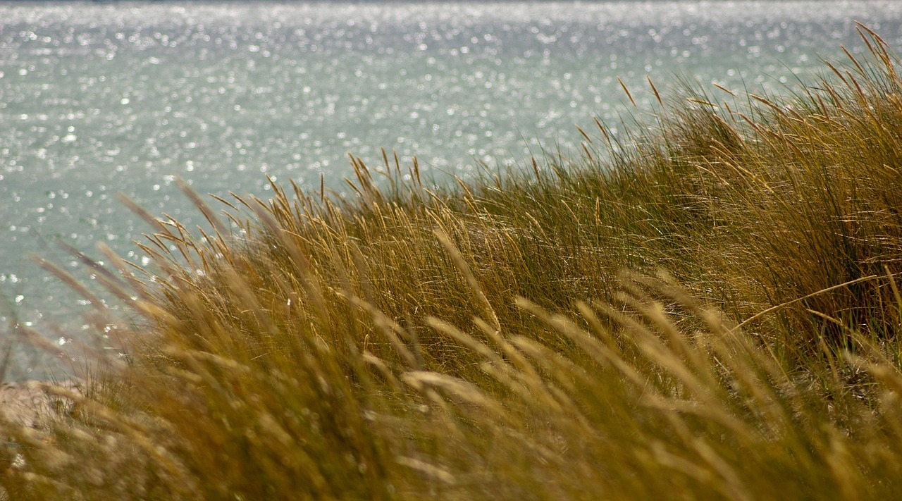 sea baltic sea coast free photo