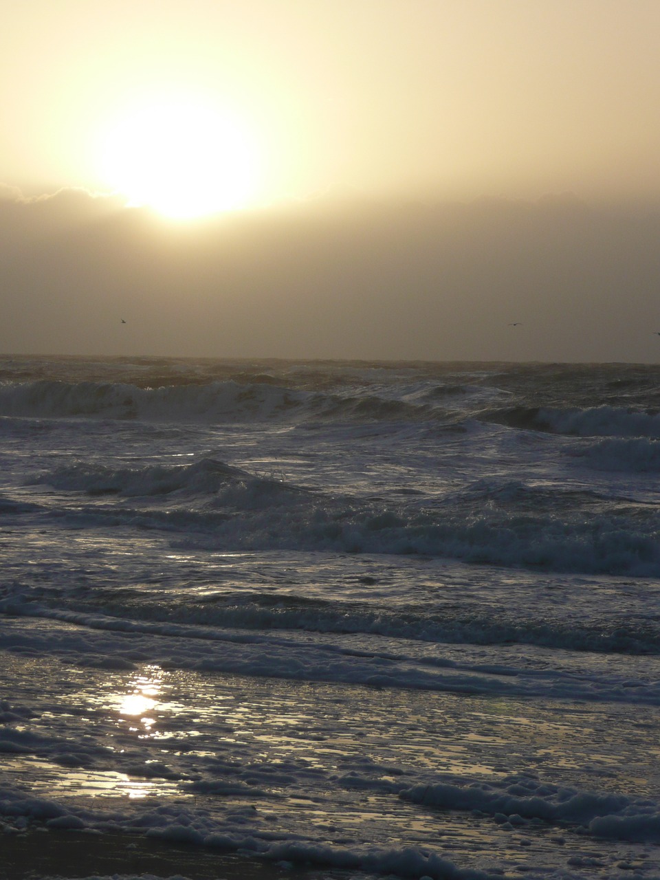 sea sylt sunset free photo