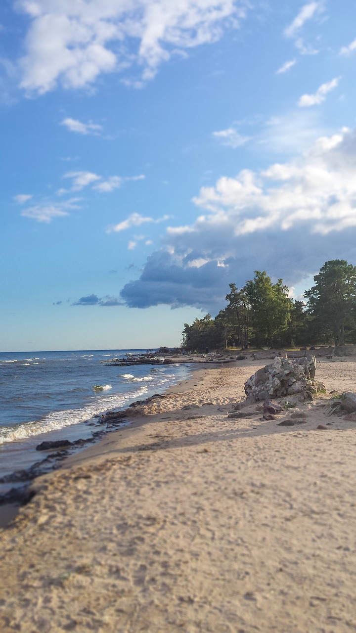 sea shore beach free photo