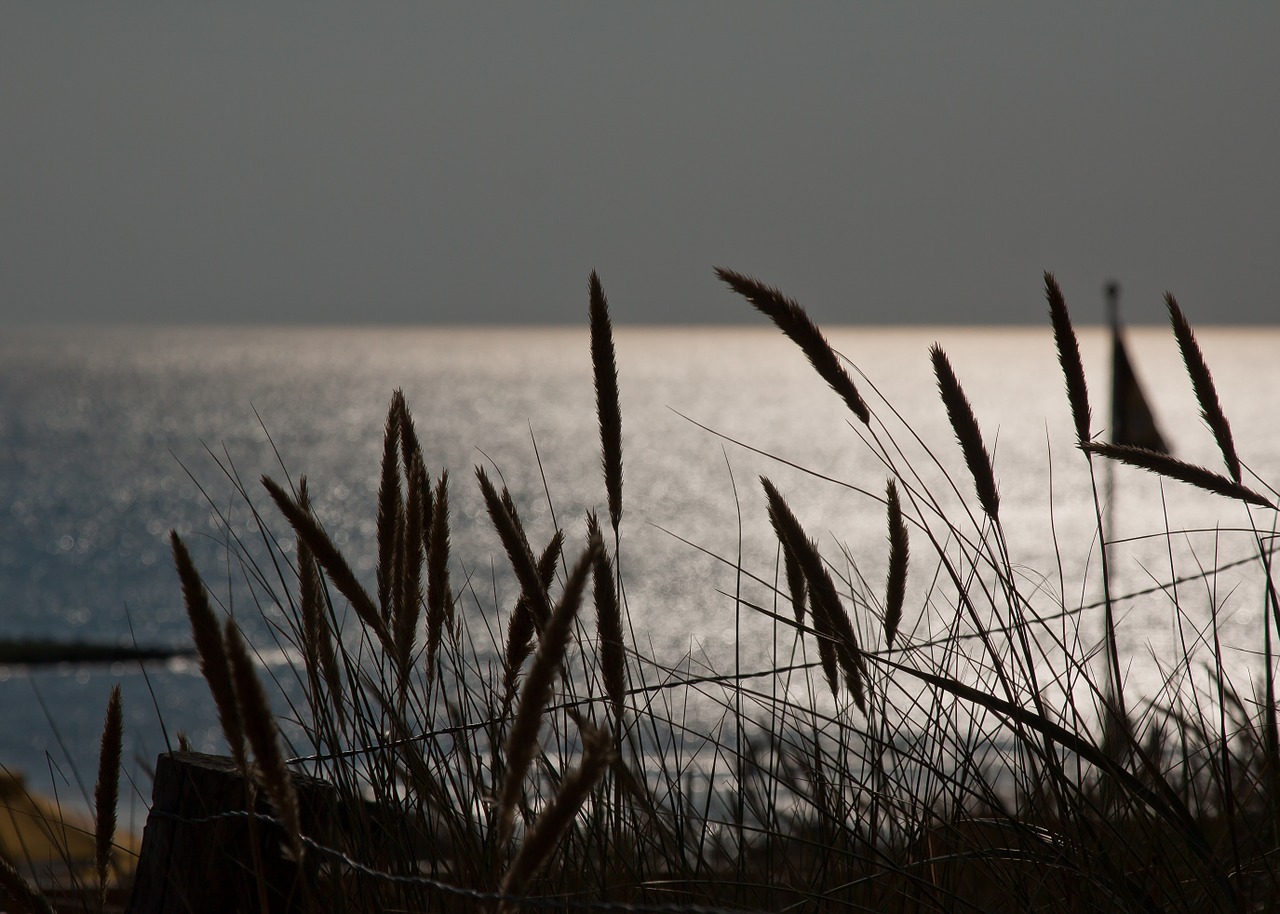 sea north sea holland free photo