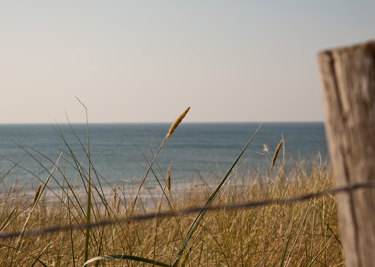 sea north sea holland free photo