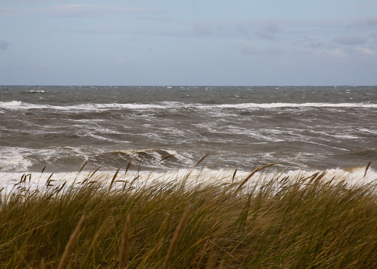 sea north sea holland free photo