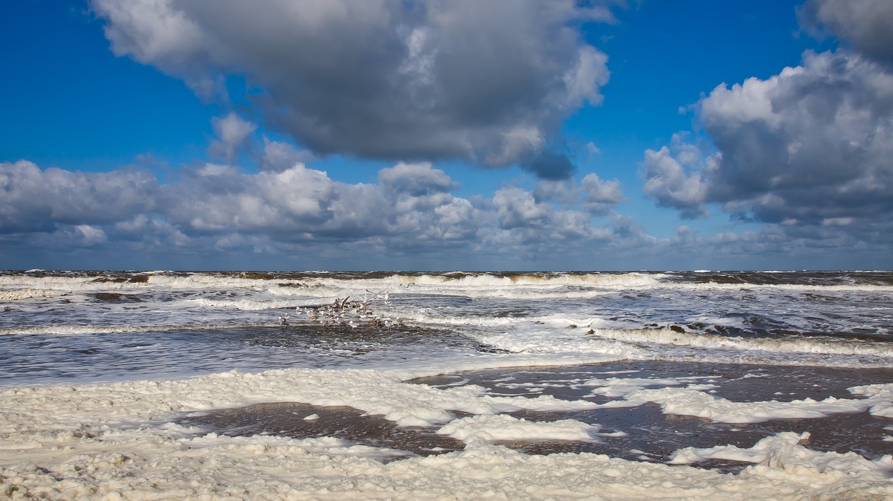 sea north sea holland free photo