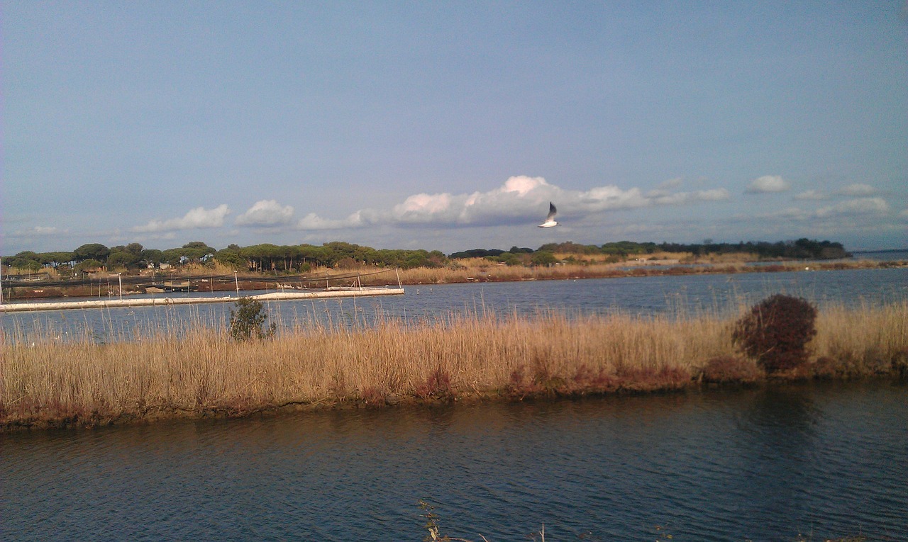 sea tuscany summer free photo