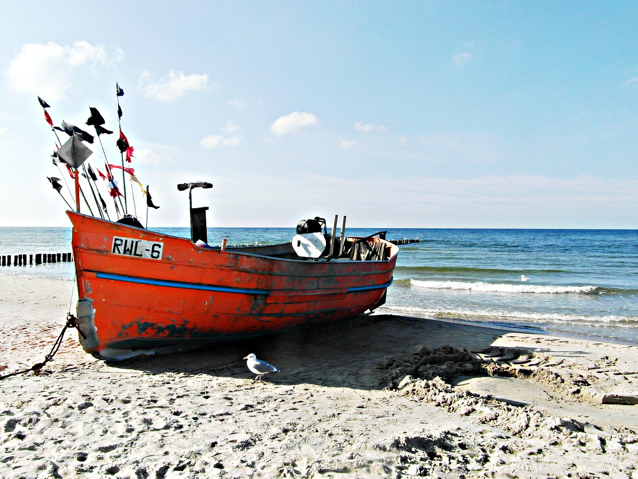 sea beach cutter free photo