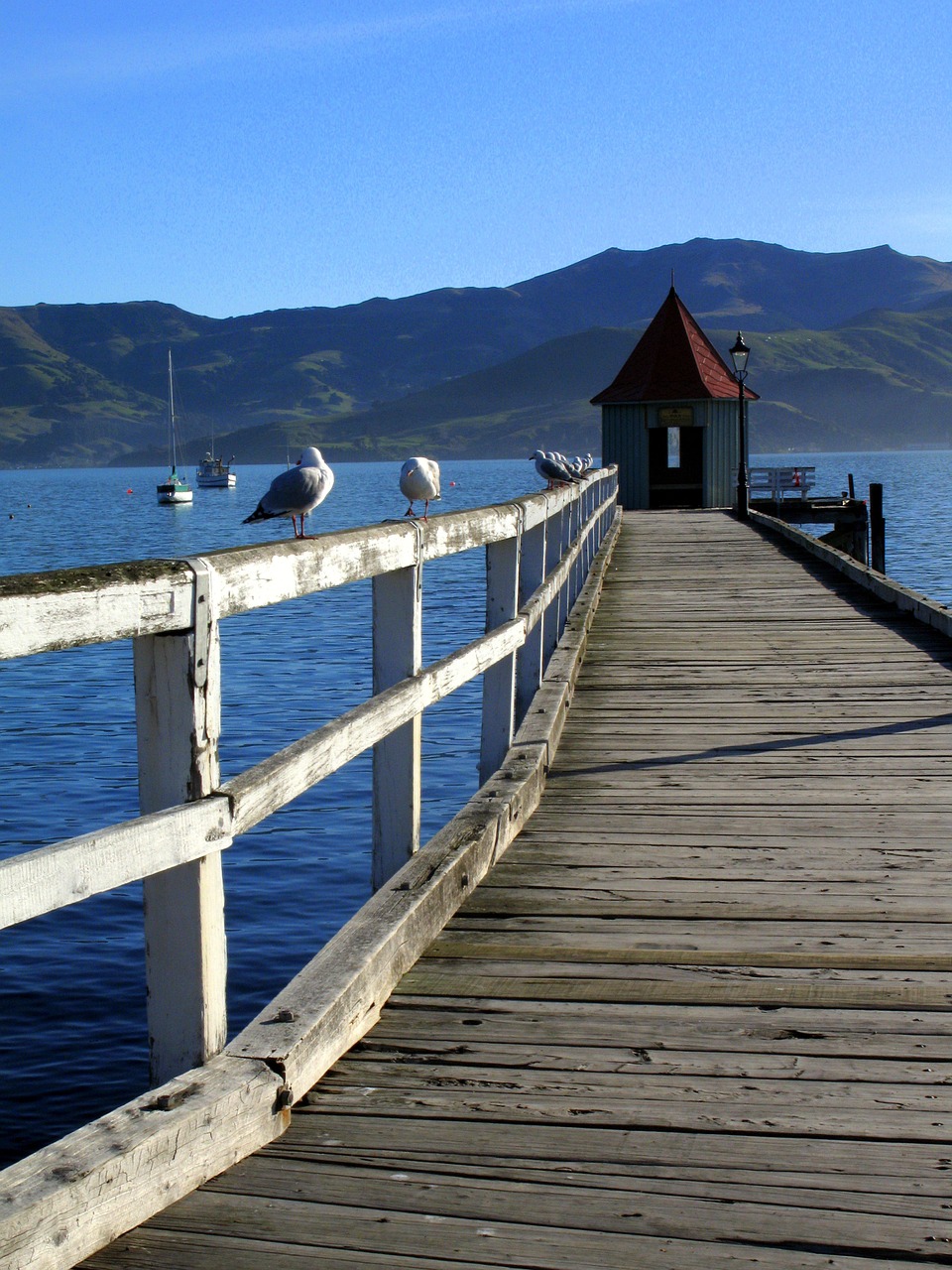 sea pier bridge free photo