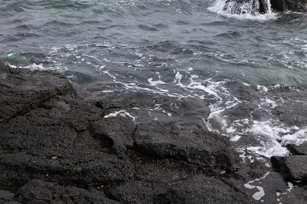 sea basalt jeju island free photo