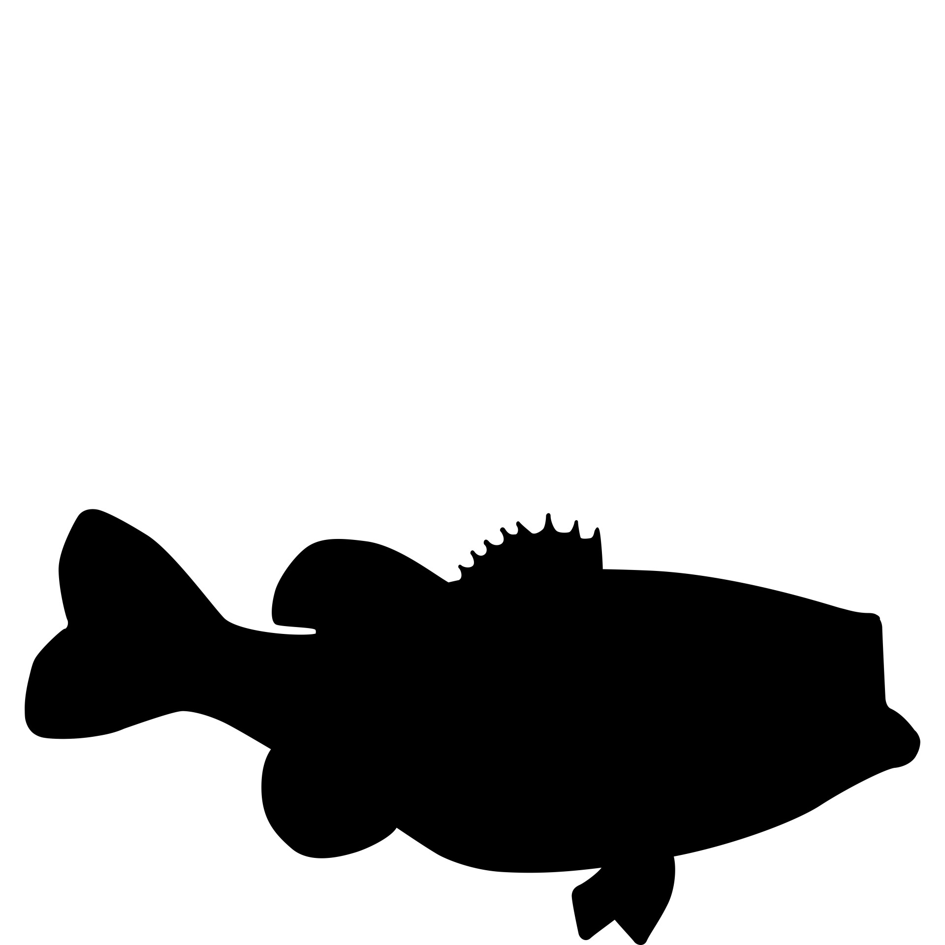 fish bass snapper free photo