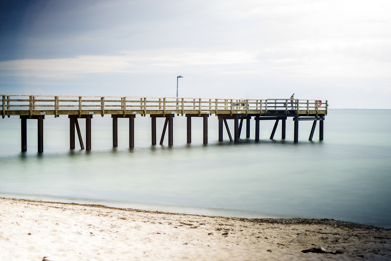 sea bridge  web  nature free photo