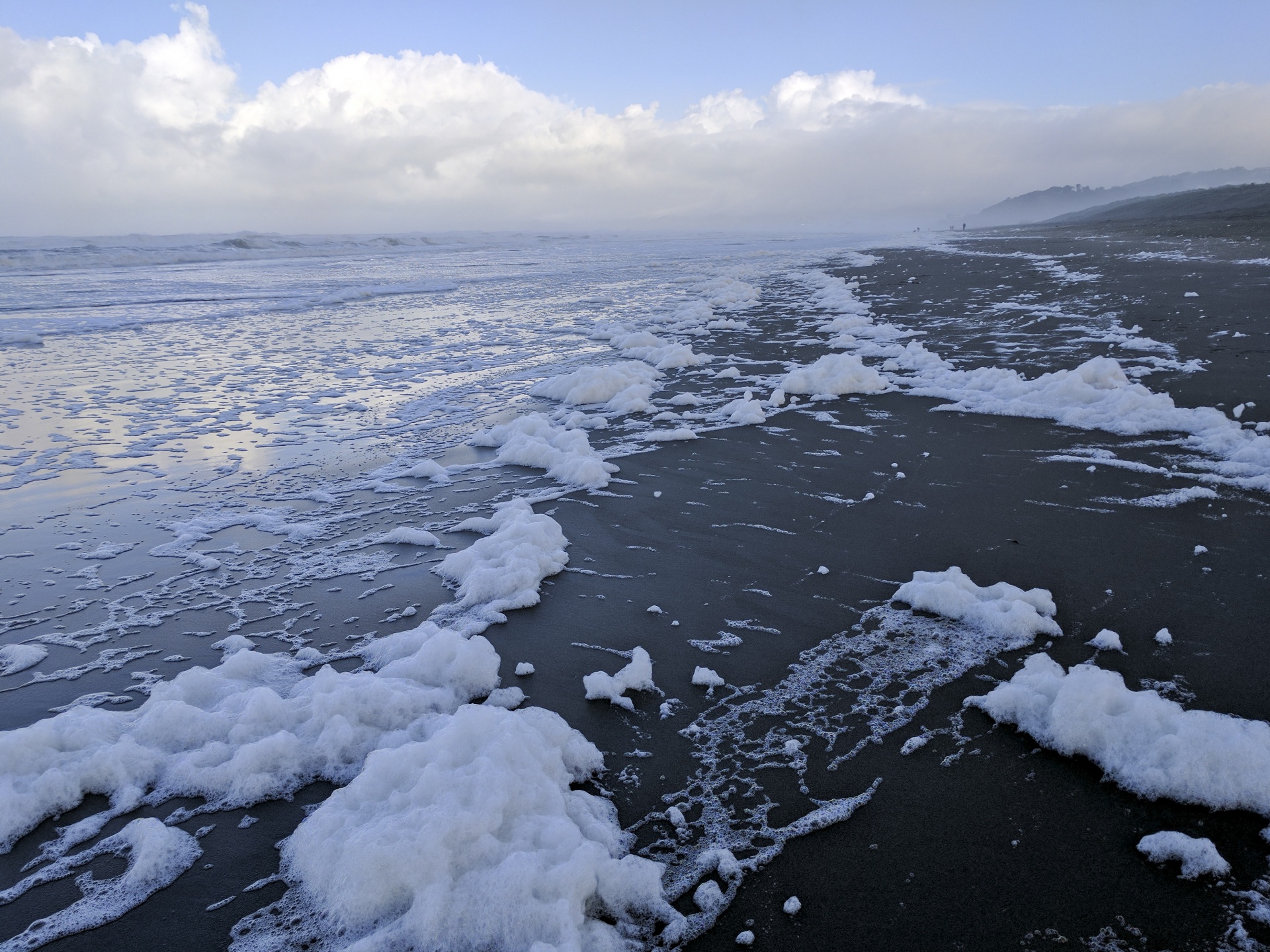 beach sea sand free photo