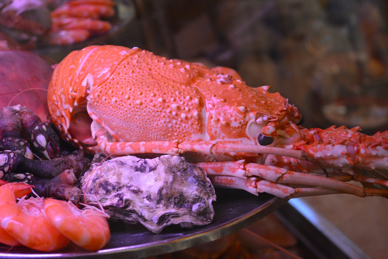 lobster sea ​​food seafood free photo