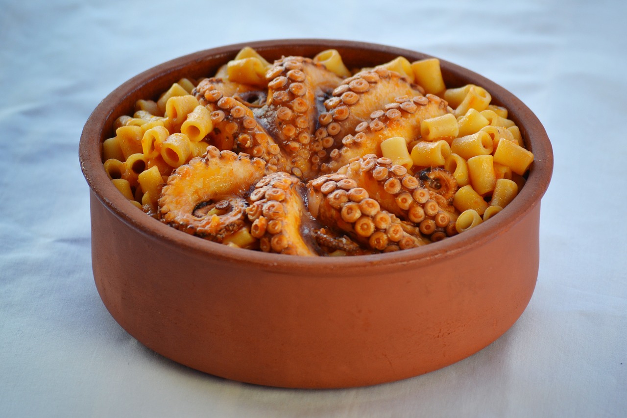 sea food octopus greek food free photo