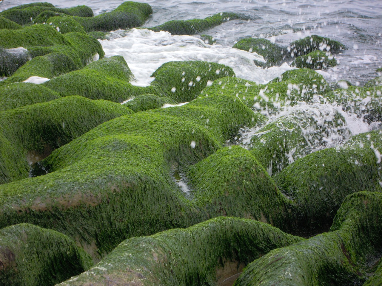 sea groove old stone trough sea 蝕 gou free photo