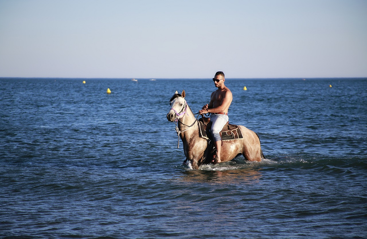 sea ​​horse bathing jumper free photo