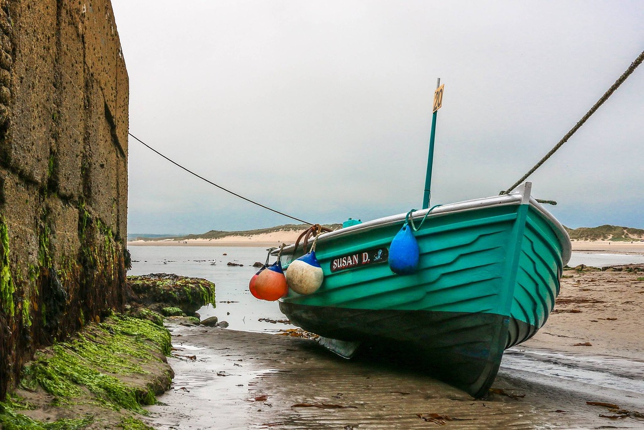 sea houses boats harbour free photo