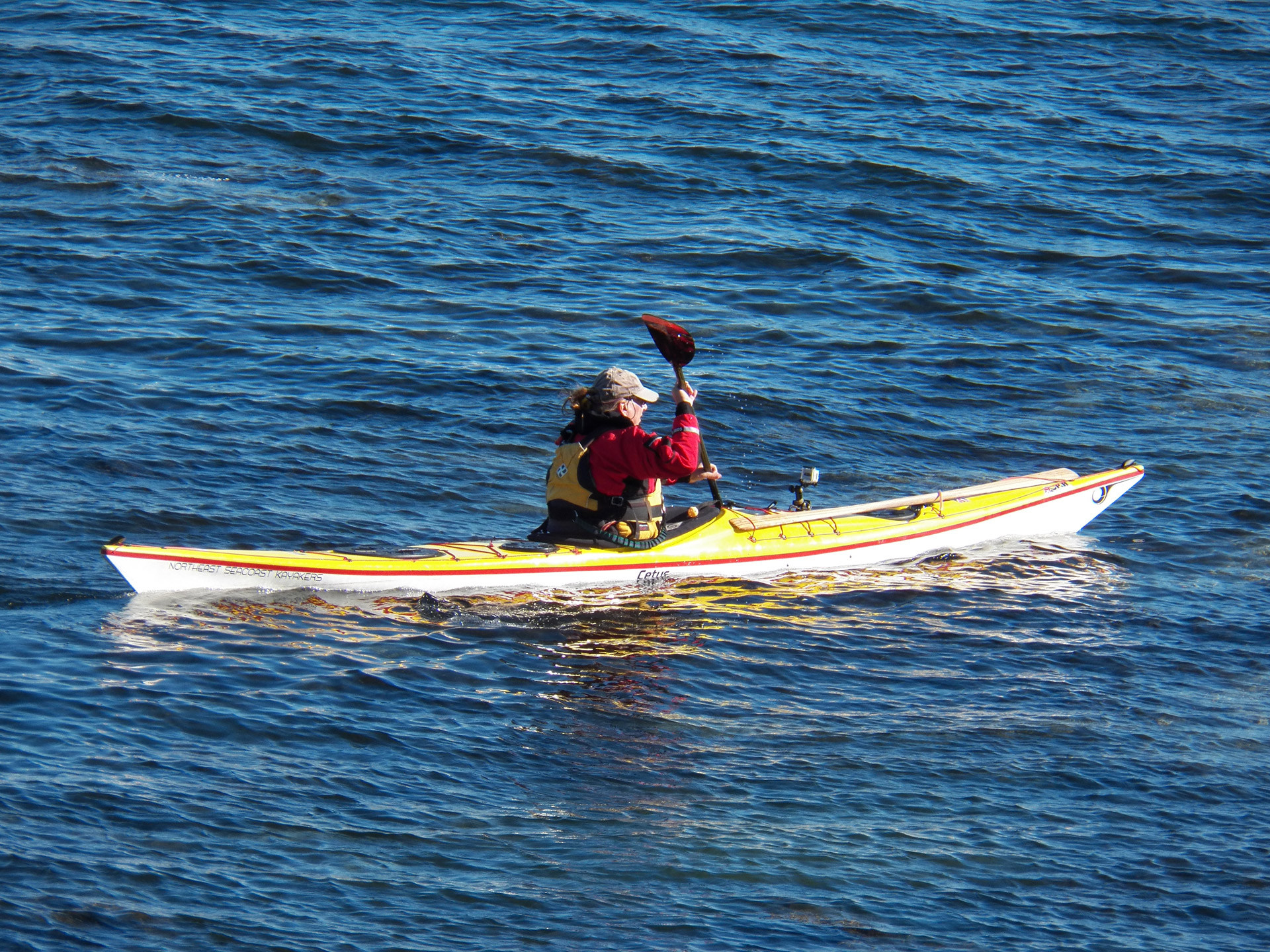 kayak sea kayaking kayaking free photo