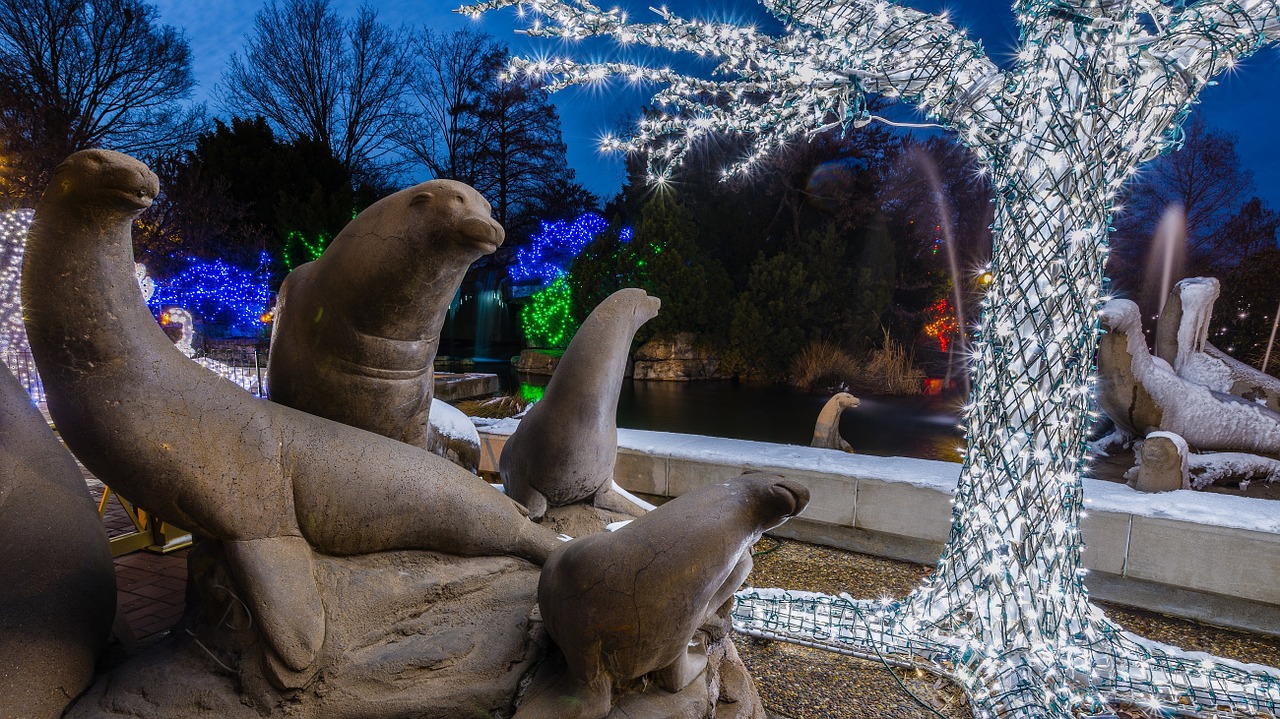 sea lion statues christmas lights zoo free photo