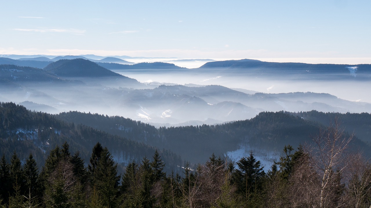 sea of fog nebellandschaft black forest free photo