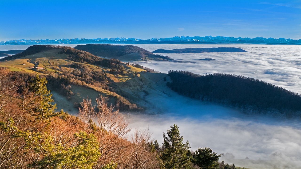 sea of fog  fog  view free photo