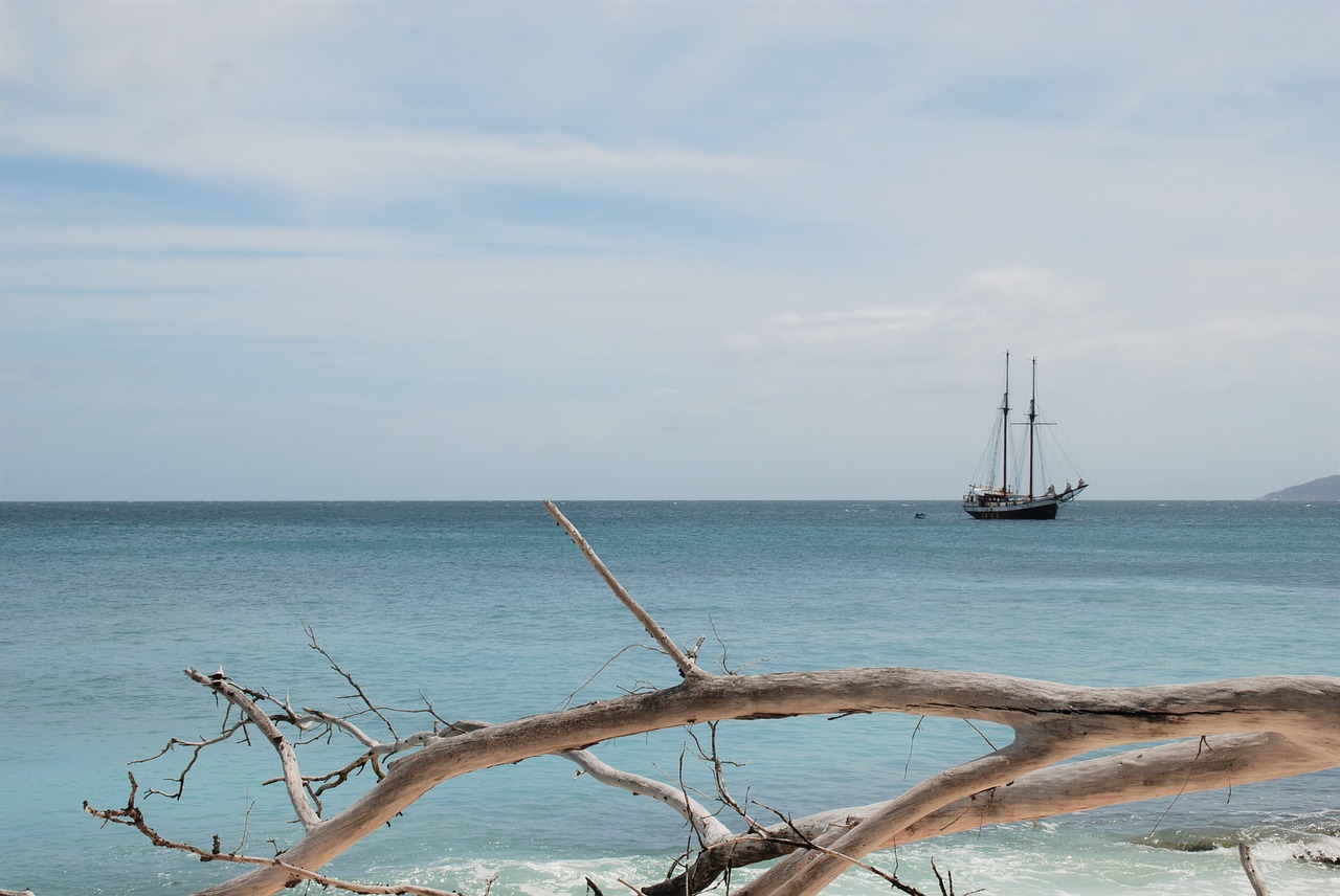 sea pearl seychelles holiday free photo