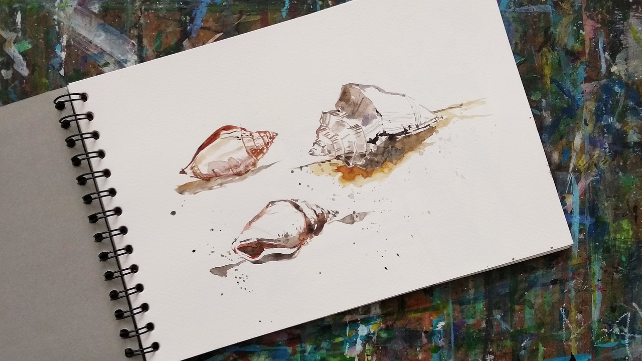 sea shells  watercolor  sketchbook free photo