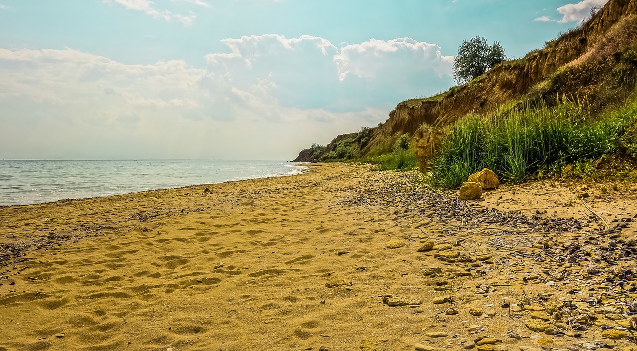 sea shore sand horizon free photo