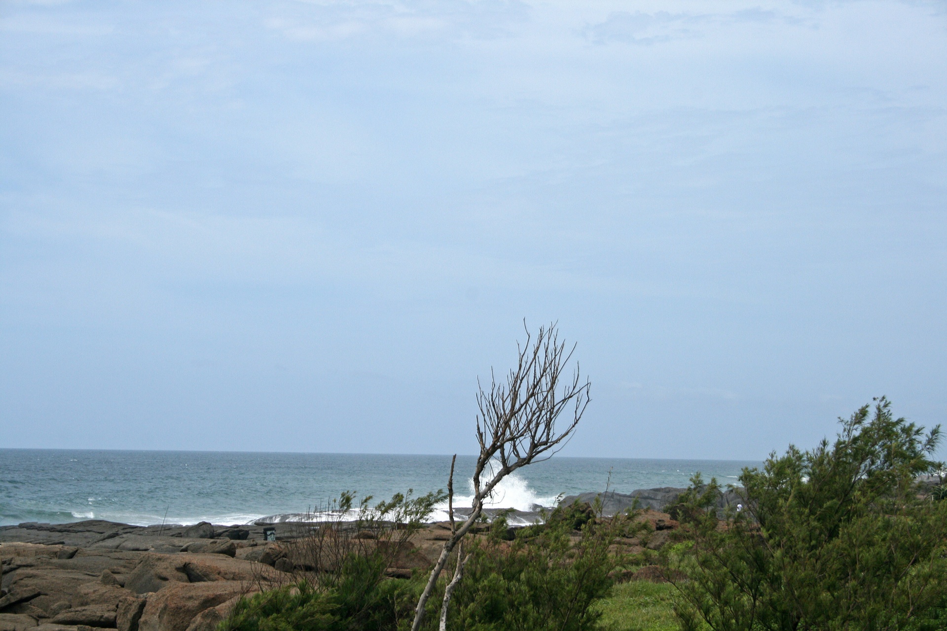 sea water ocean free photo