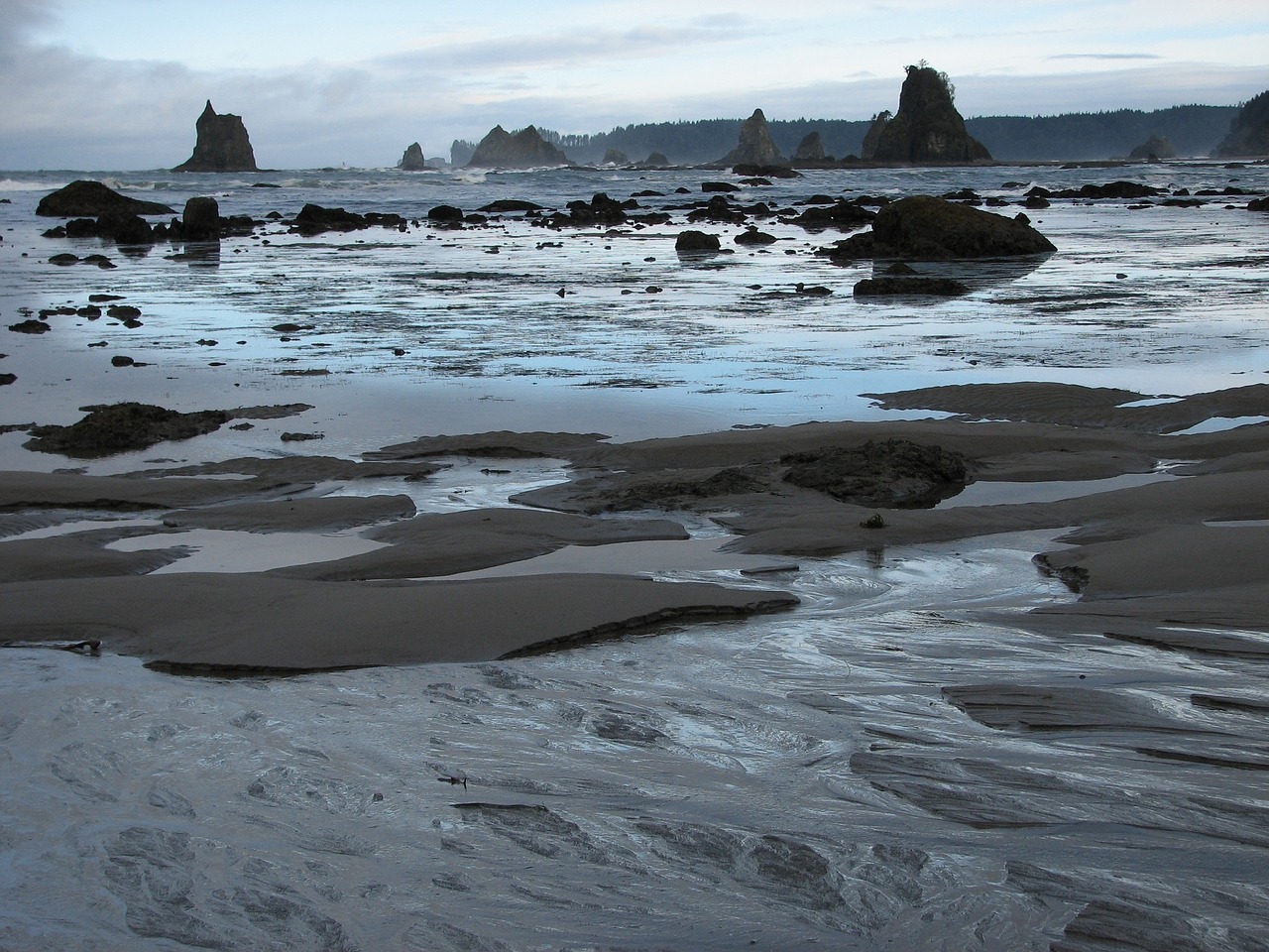 sea stacks rocks low tide free photo
