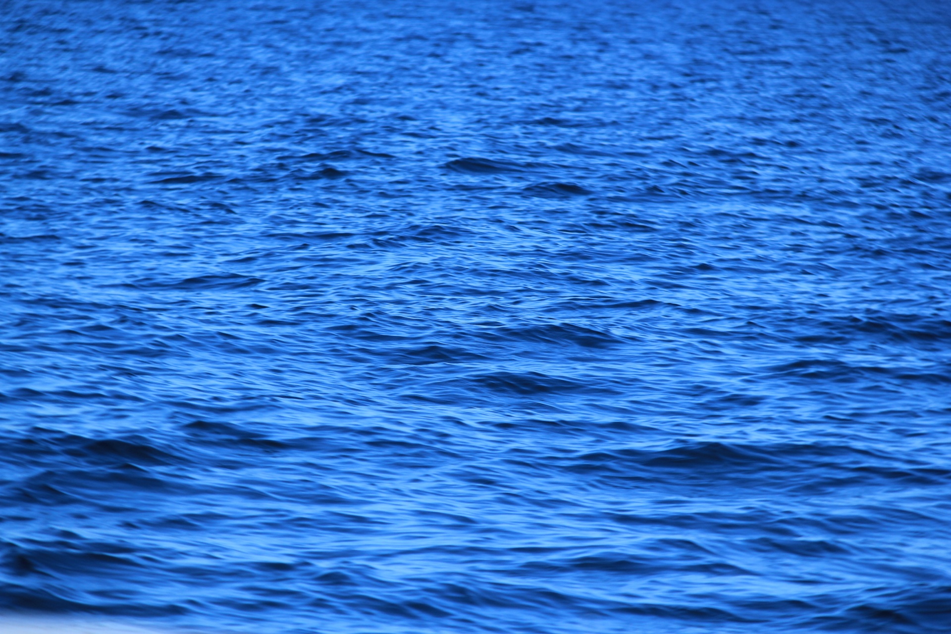 water sea background free photo