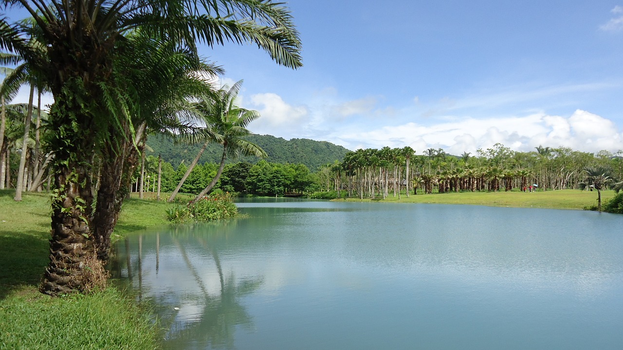 sea view lake view tropical wind free photo