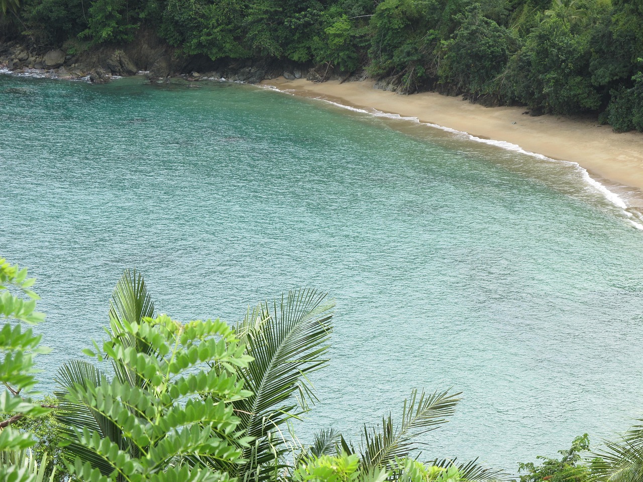 sea view see beach free photo