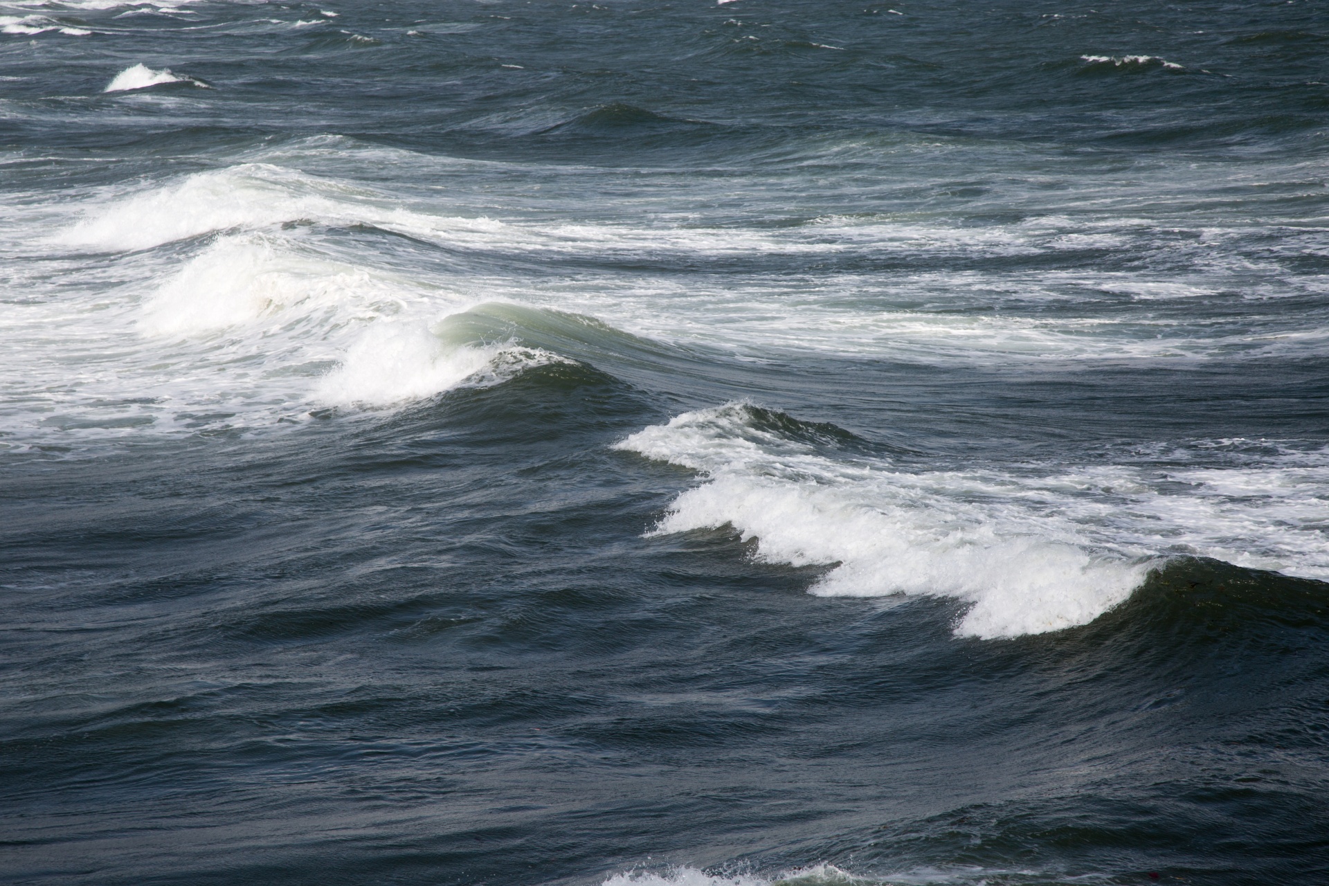 sea wave ocean free photo