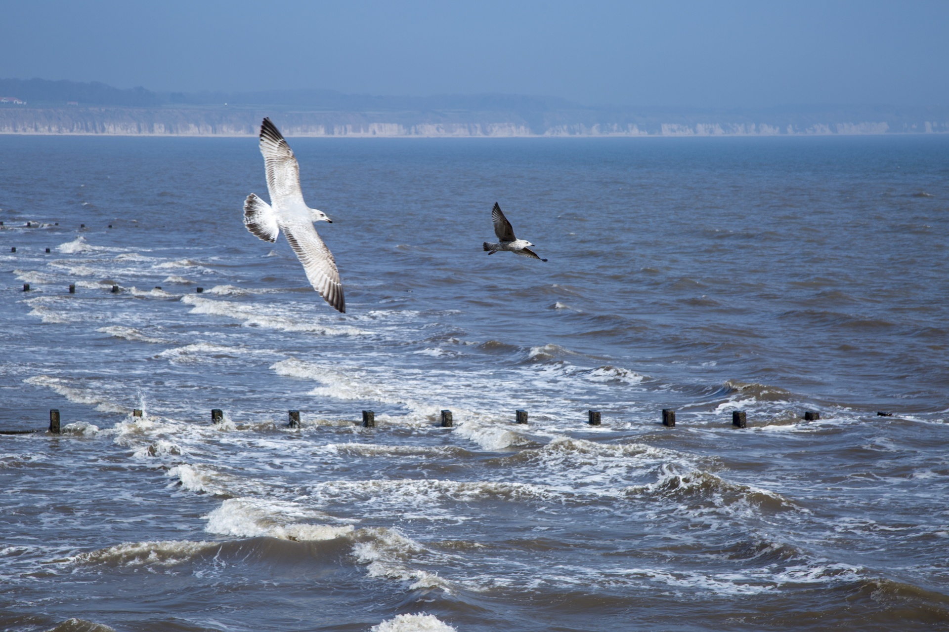 sea wave ocean free photo