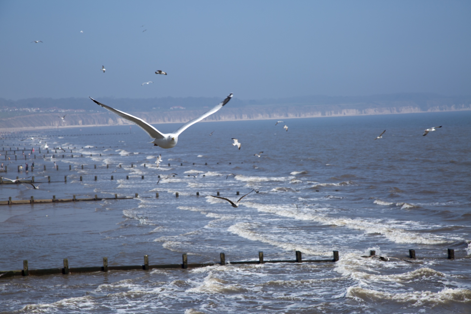 sea wave ocean free photo