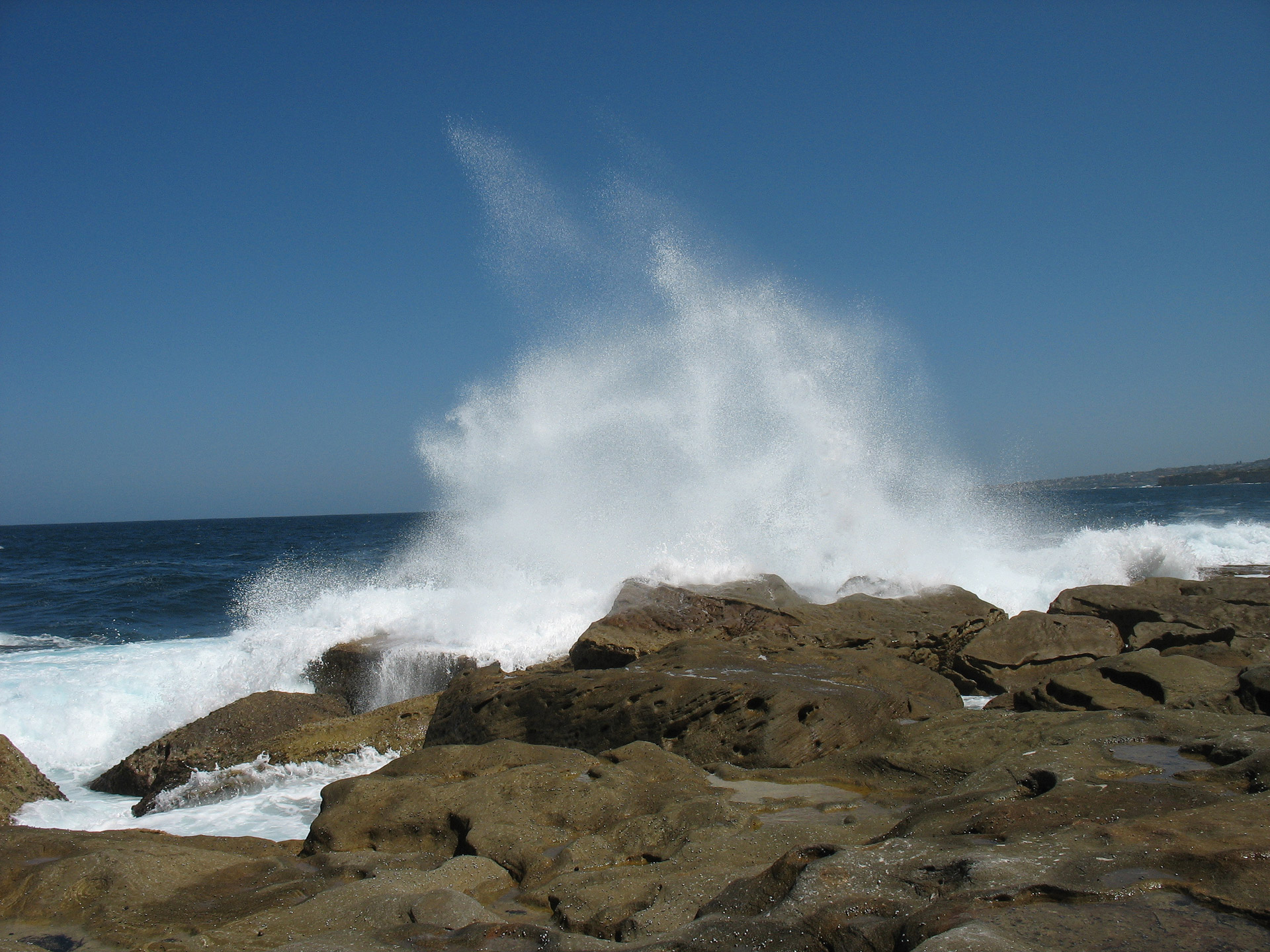 tide wave sydney free photo
