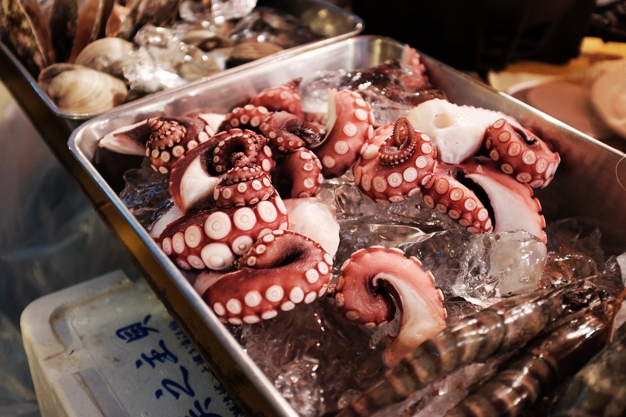 seafood octopus tentacles free photo