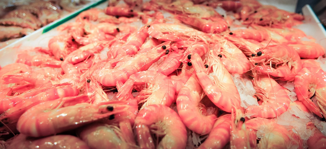seafood prawns shrimps free photo