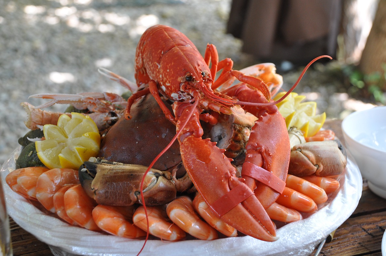 seafood platter crustaceans food free photo