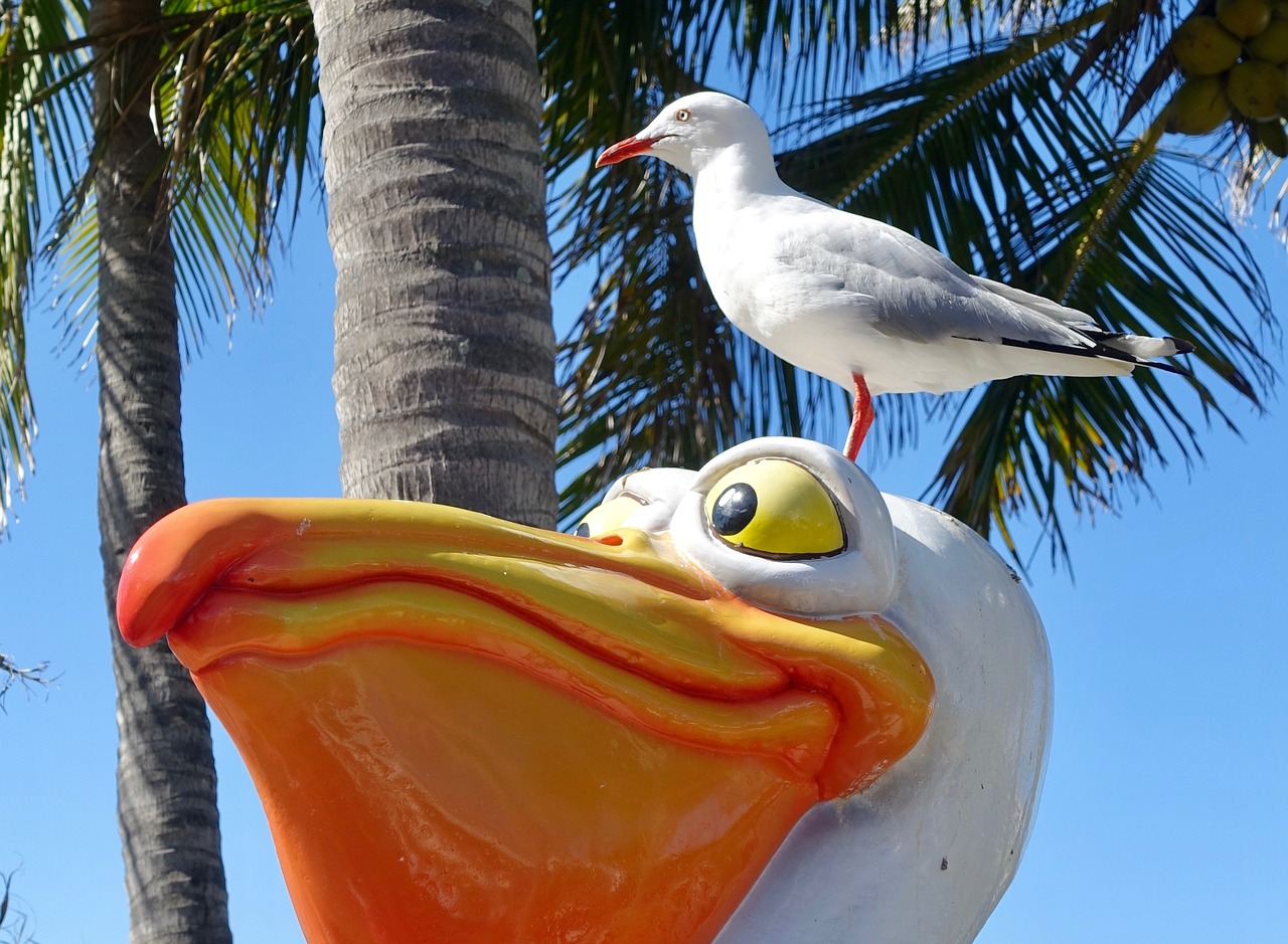 seagull sculpture head free photo