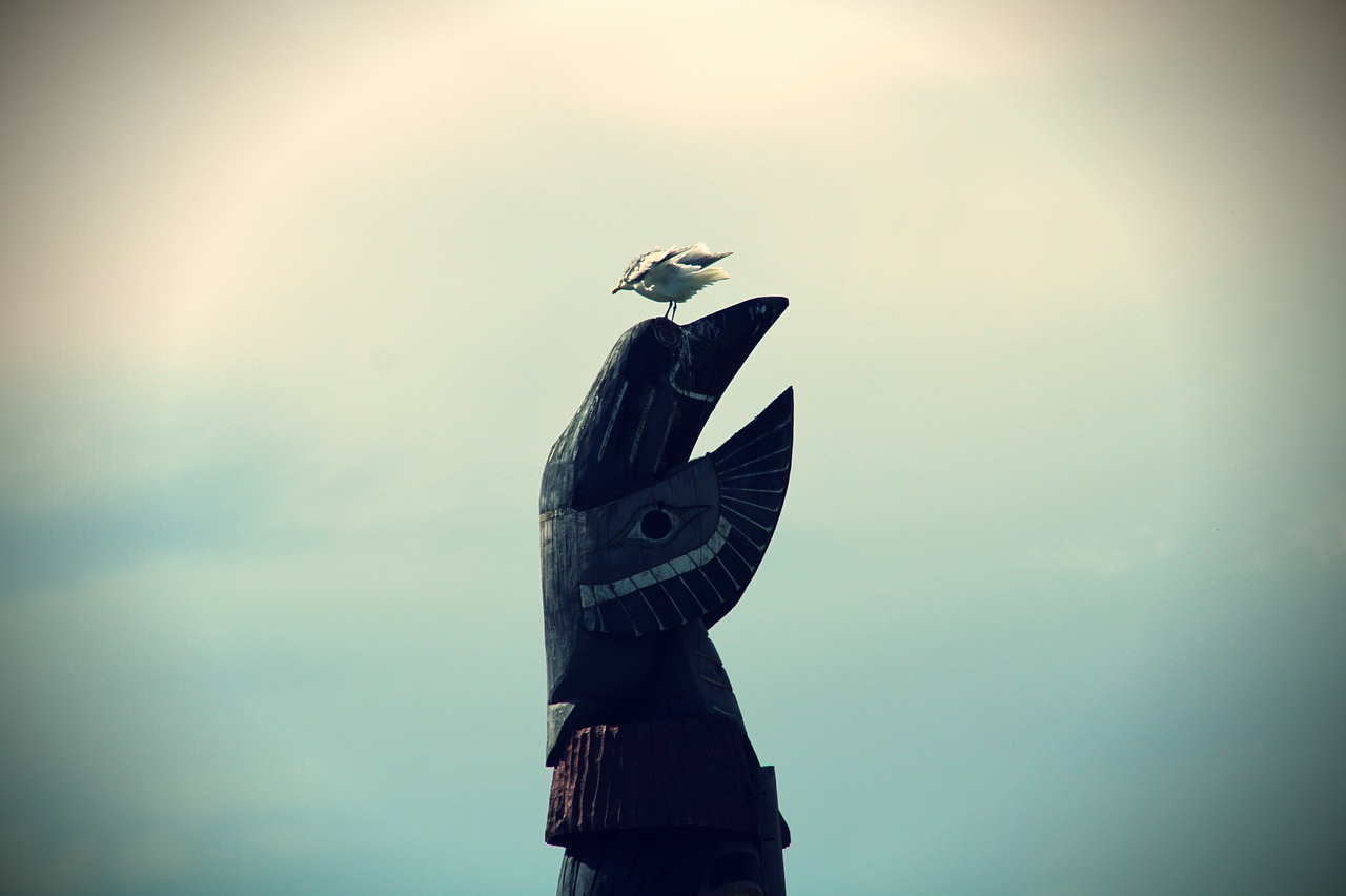 seagull  statue  indians free photo