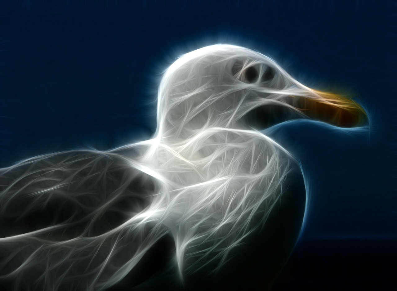 seagull artwork fractal free photo