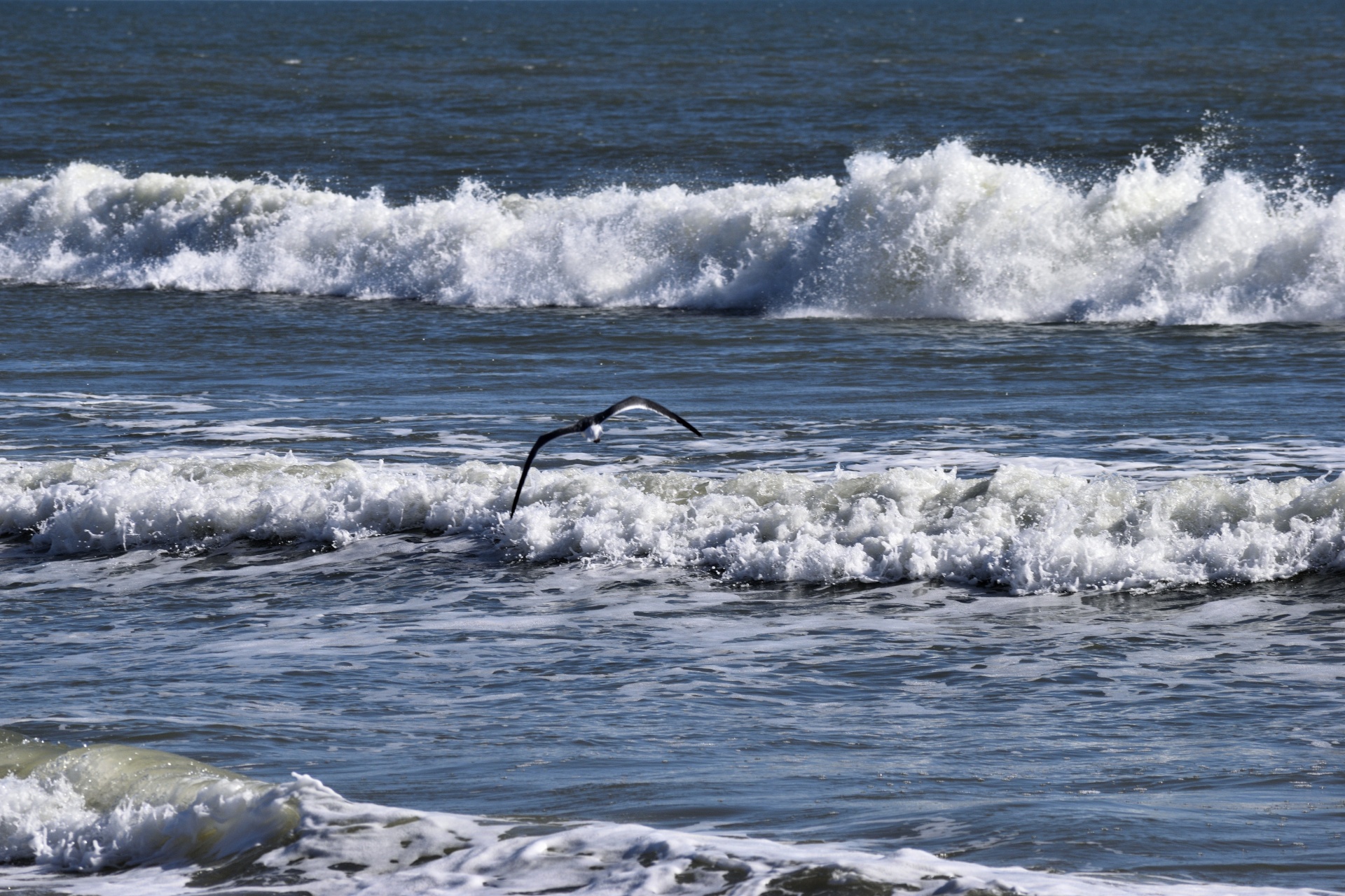 ocean waves ocean saltwater free photo